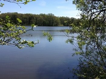 Cleveley Mere Luxury Waterside Lodges Scorton  Zewnętrze zdjęcie